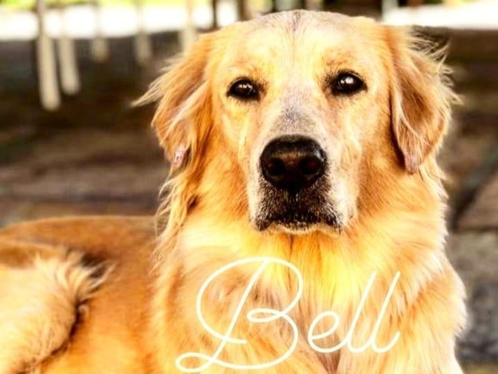 Pousada Da Bell Barreirinhas Eksteriør billede